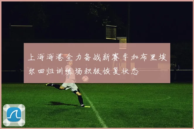 上海海港全力备战新赛季加布里埃尔回归训练场积极恢复状态