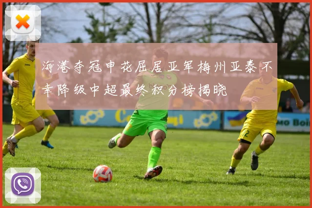 海港夺冠申花屈居亚军梅州亚泰不幸降级中超最终积分榜揭晓
