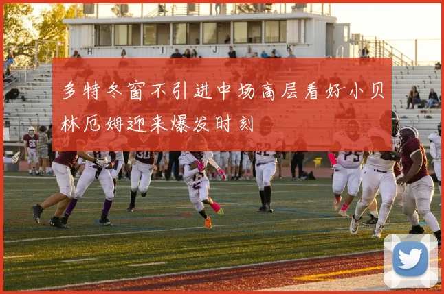多特冬窗不引进中场高层看好小贝林厄姆迎来爆发时刻
