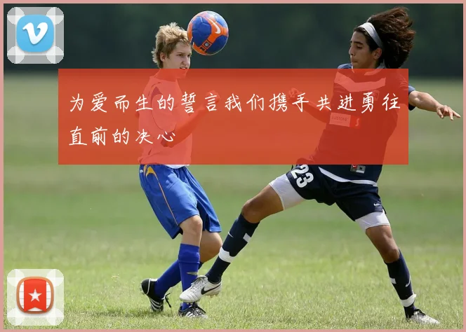 为爱而生的誓言我们携手共进勇往直前的决心