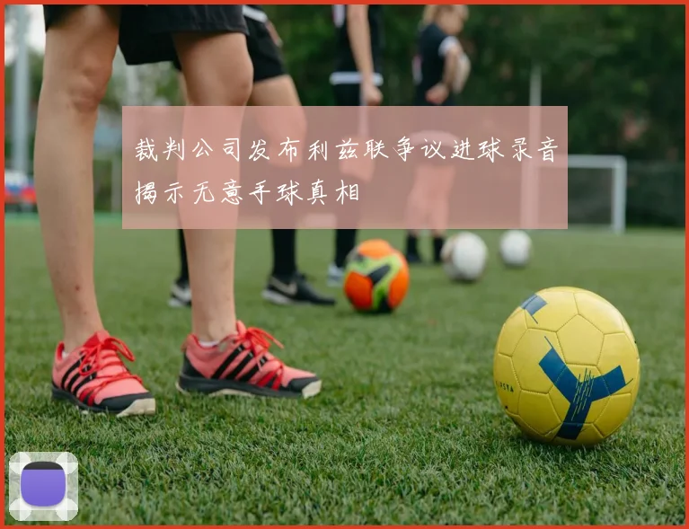 裁判公司发布利兹联争议进球录音揭示无意手球真相